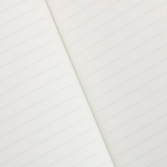 BLUE CAT A5 SOFT TOUCH COVER BANDED 5PCS (RULED) - Picture 4 of 5